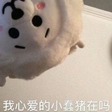 宇宙小渡