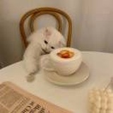 sweetpie