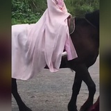 斗战圣佛