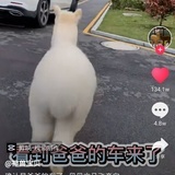 轻轻的你