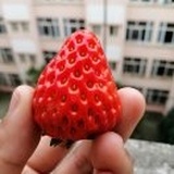 我心若荷