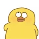 秀逗了