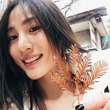落叶🍂