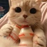 肖恩