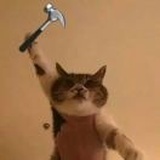 猫猫狗狗摇钱树