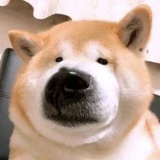 潤