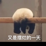 赵兮兮