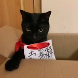 正在加载中