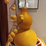 曹操