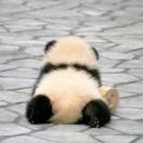 研值即正义