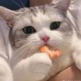 娃哈哈批发商