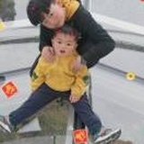 人生若只如初见