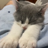 风起青萍之末