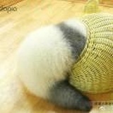 生如梦兮