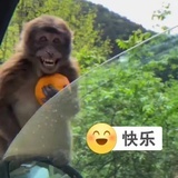 风之子