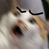 月下咸鱼