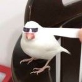 🕶