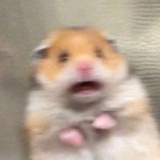 巴扎嘿