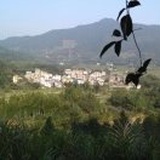 刘志荣