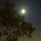克拉拉与月亮