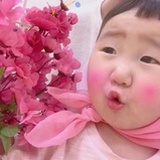 向向向日葵🌻