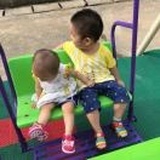 圈圈🐰🐰🐎🐤