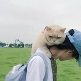 痞特
