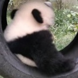 三四五六七