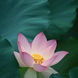豆友178