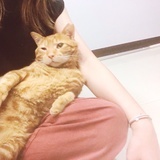 園丁433號