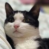 🐾