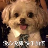 瓜皮鞋