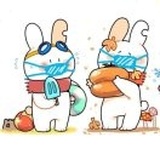 猫猫赐福