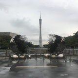 豆友217965800