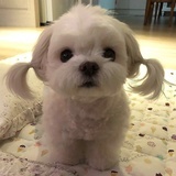 还没想好昵称