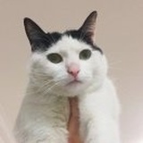 @7%