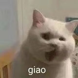 無人