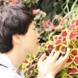 风云再现