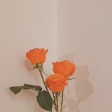 小朵小朵