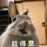 林柒叶