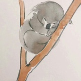 闲儿