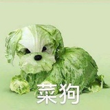 豆友218147754