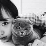 Catty
