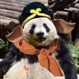 不emo人