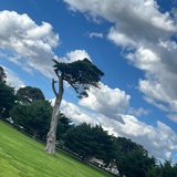 折漫幢