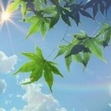 木子