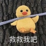 姝姝