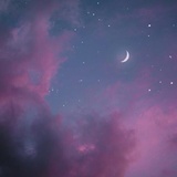 蒜苗须子