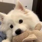 小苏cc