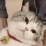 月半fufu